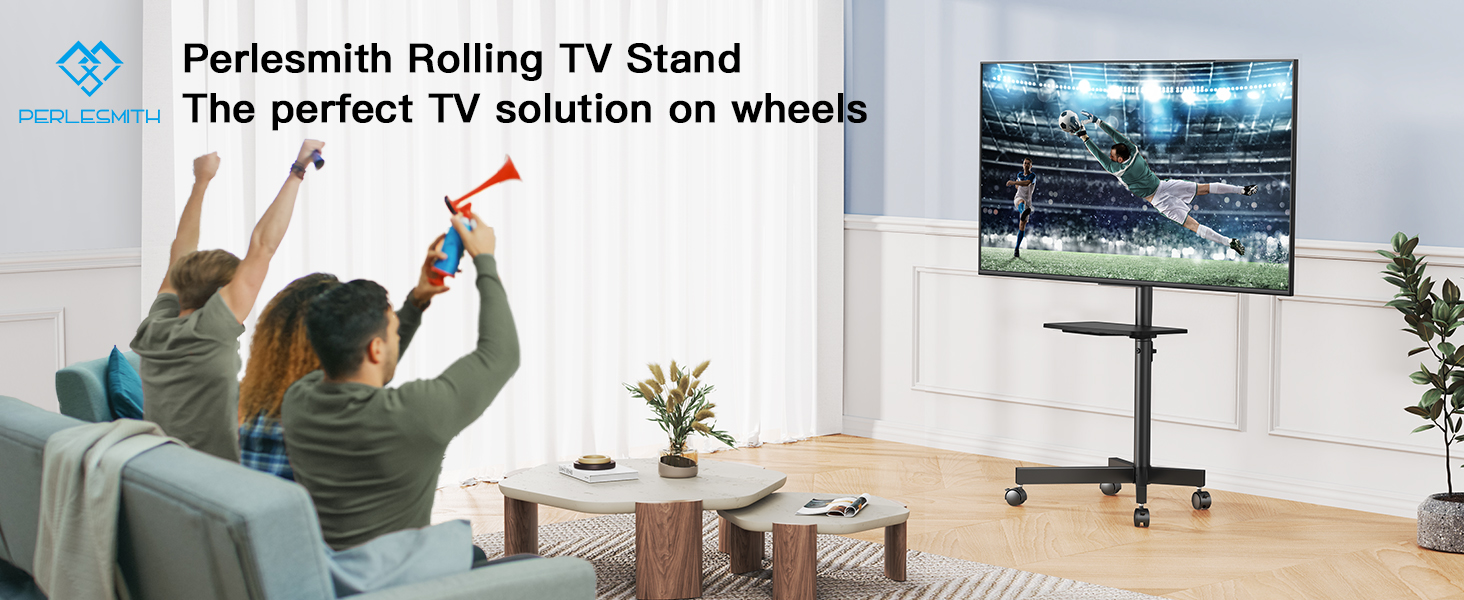 MOBILE TV CART
