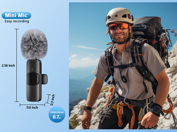 mini mic