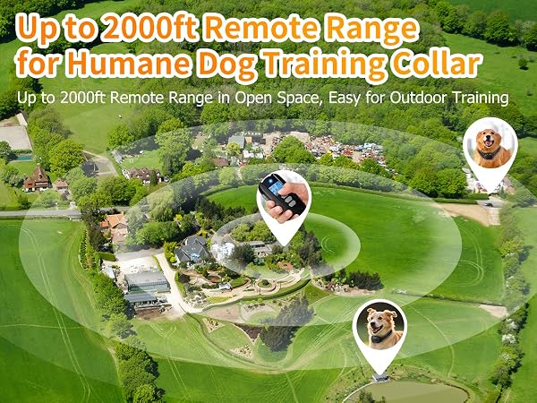 dog training collar with remote 3