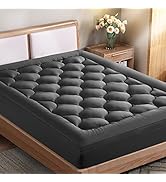 EASELAND Queen Size Mattress Topper Pillow Top Mattress Cover Quilted Fitted Mattress Protector C...
