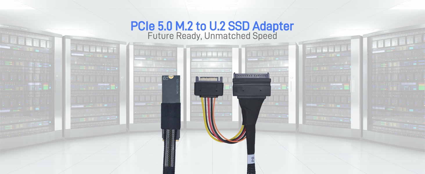 LetLinkSo Gen5 PCIe 5.0 U.2 to M.2 Adapter Card SFF-8639 to M2 NVMe SSD Cable