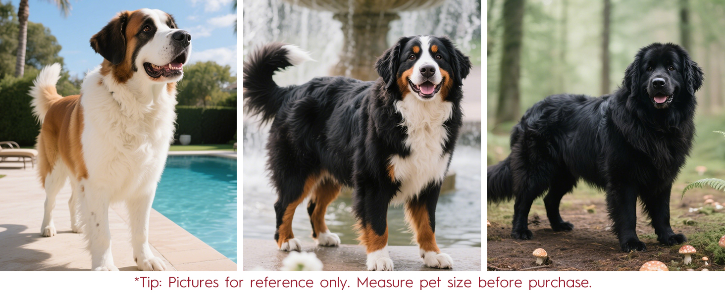 Our Puppy Harness and Small Dog Harness Has Tailored Sizes for Dachshunds and Other Companions!