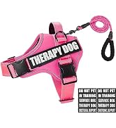 Dog Vest Harness and Leash Set, Animire Reflective Service Dog Vest with 10 Patches, 3 Rings No C...