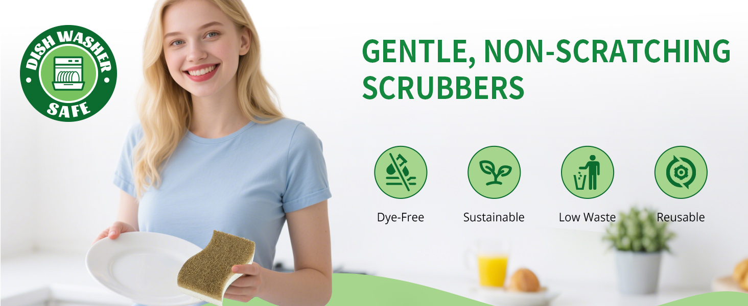 dish sponges