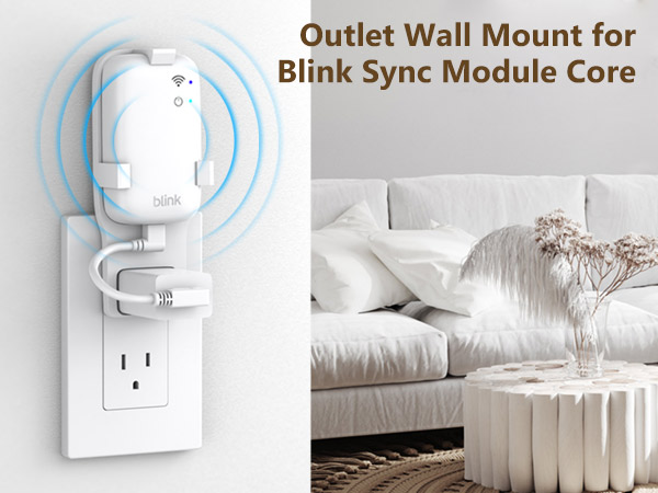 blink sync module mount
