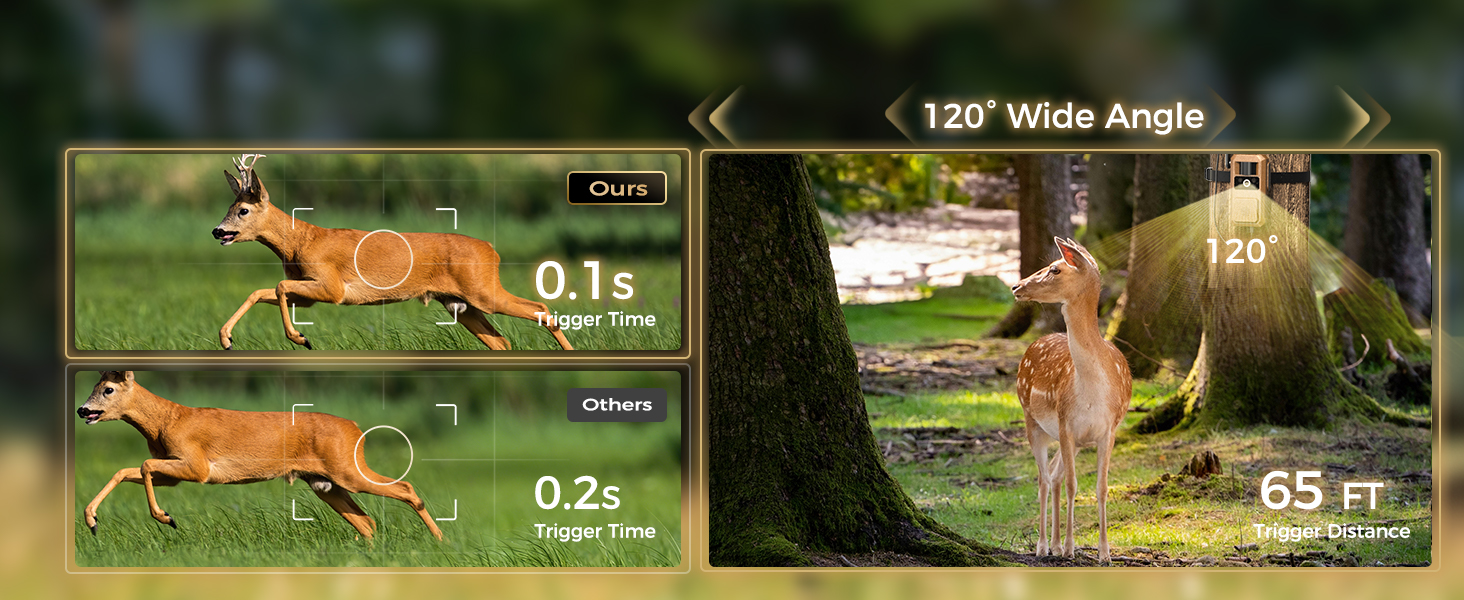 0.1s Faster Trigger Wildlife Camera