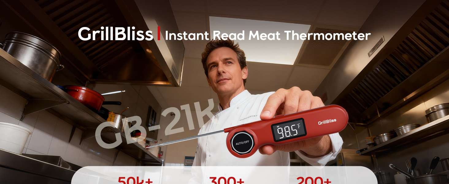 meat thermometer