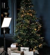 RALENO 45W Led Video Light,18'' Continuous Output Lighting with 2.4G Remote,CRI97 Brightness Bi-C...