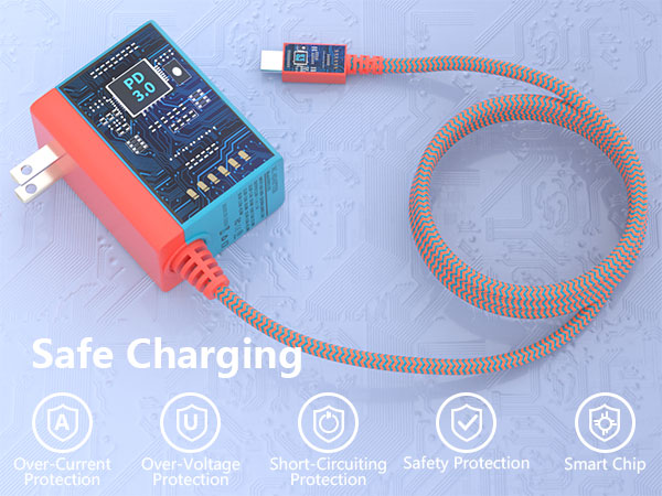 Charger for Switch
