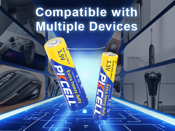 r03p r6p aa and aaa battery combo