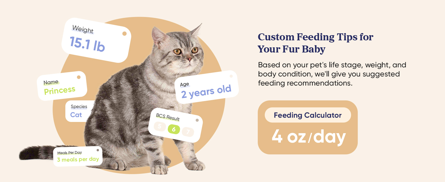 2.1_PPF-R361S-WUS_White_US_Module 4b_Desktop