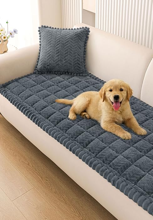 couch cover