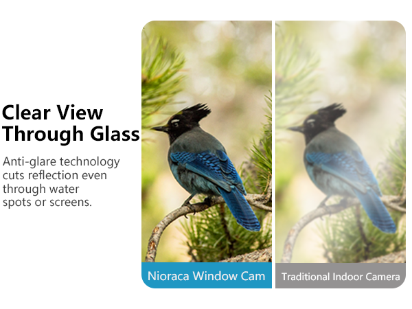 Anti-glare Technology