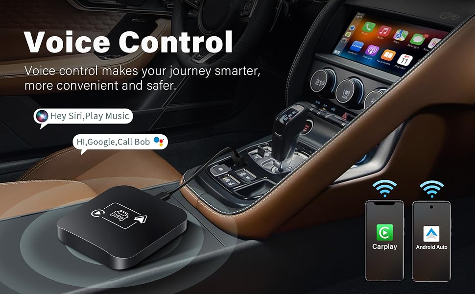 Voice control