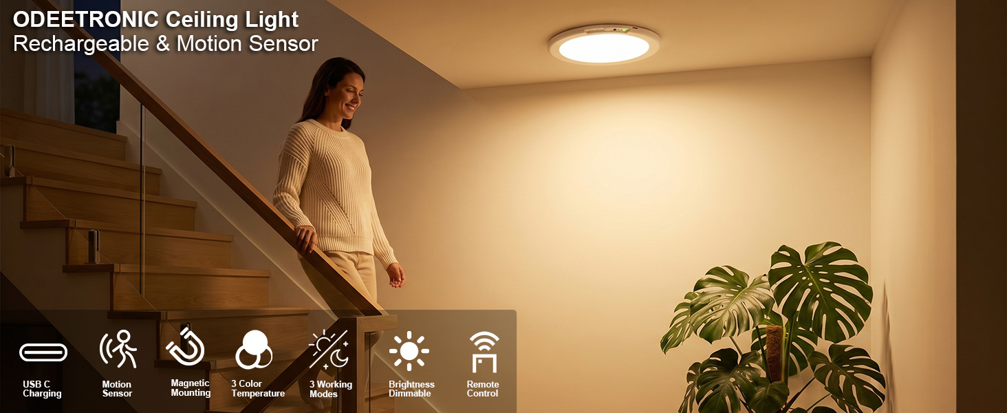 Ceiling lights with rechargeable and motion-sensing features