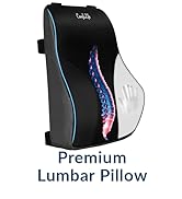 lumbar support pillow