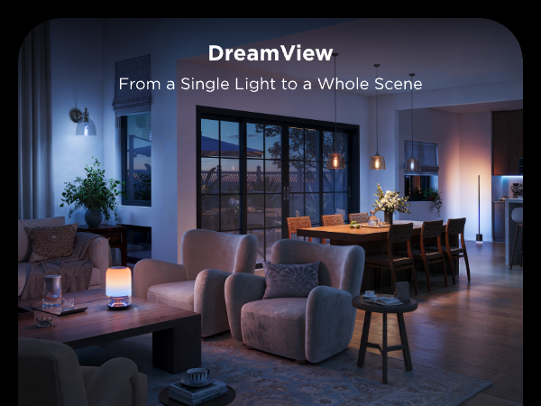 Govee smart edison bulbs ST19 bulb dreamview