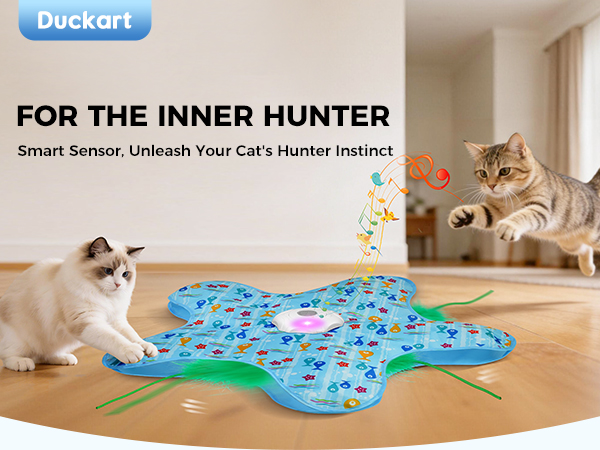 cat toys