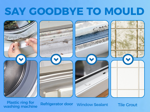 mould