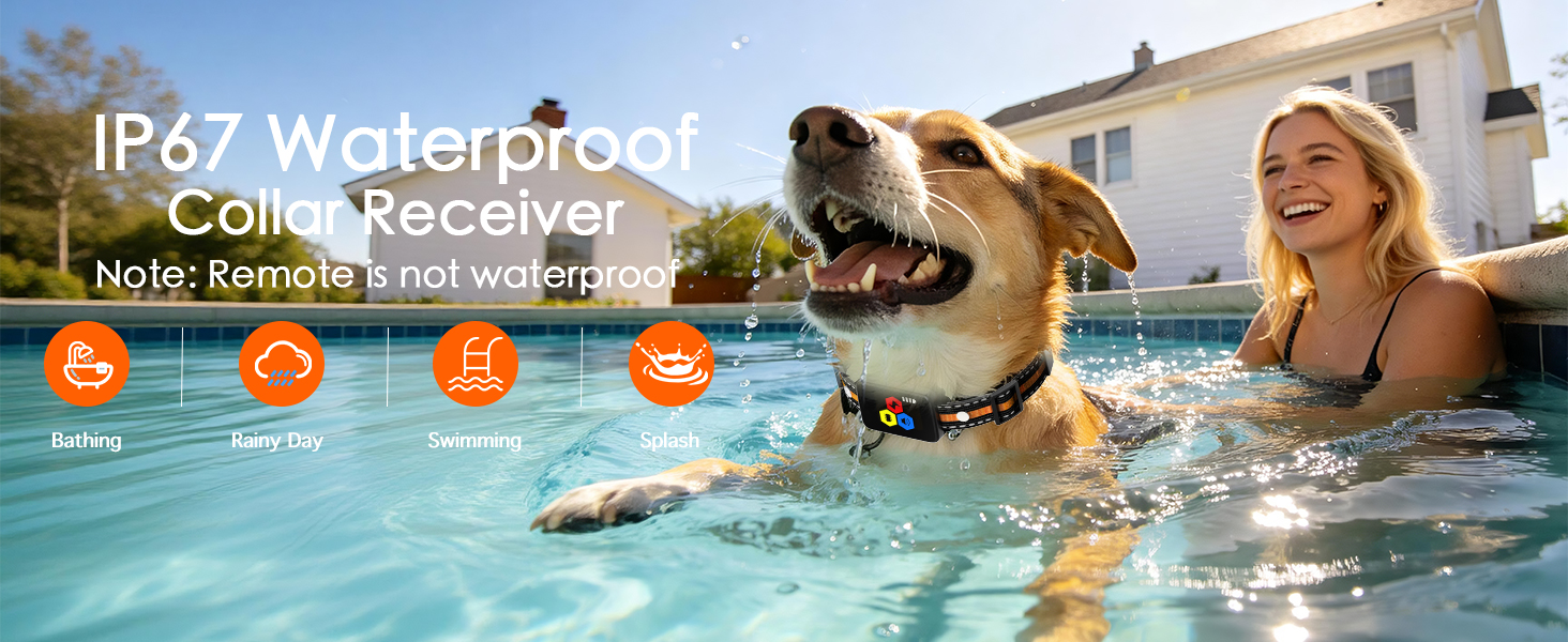 e collar for dogs training