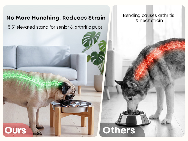 stainless steel dog bowls