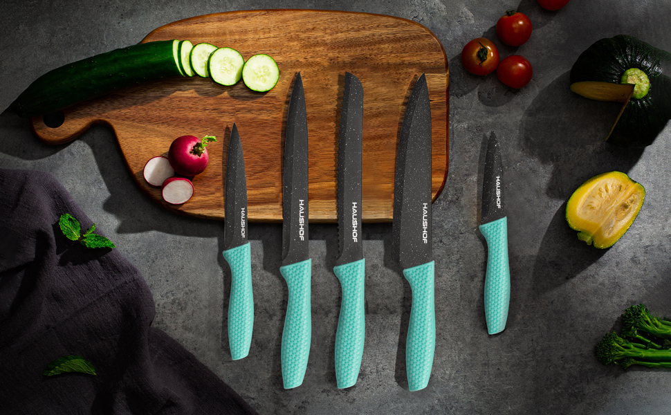 HAUSHOF Kitchen Chef Knife Set, 5 PCS knife sets for kitchen with block