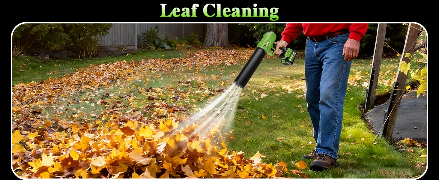 Leaf Cleaning