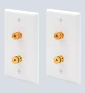 VCE UL-Listed Speaker Wall Plate Gold-Plated, 2-Port Keystone Wall Plate with Banana Jack Binding...