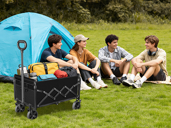 wagon carts