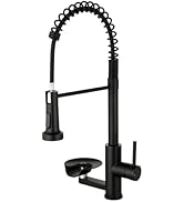 OWOFAN Kitchen Faucet with Cup Washer Pull Down Sprayer Stainless Steel Kitchen Sink Faucet with ...
