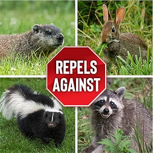 Repels against rabbits skunks groundhogs racoons