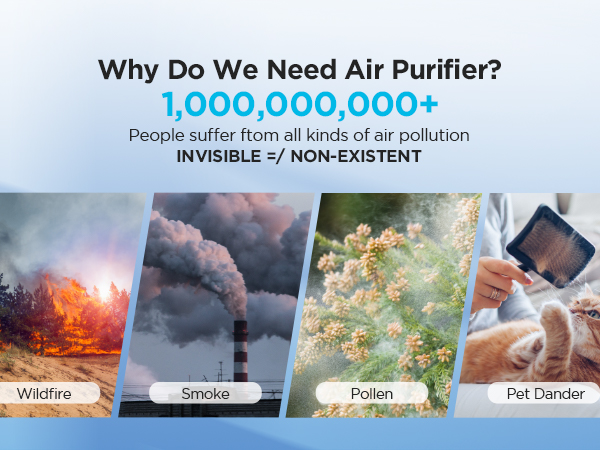 air purifiers for home large room pet True HEPA Air Purifier Large Room bedroom air purifiers