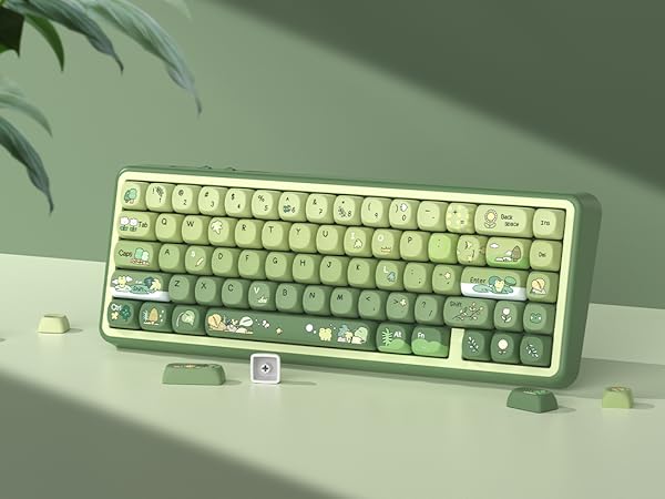 Green Frog Keycap Set, PBT Custom Keycaps 60% 75% 100%,dye Sublimation Keyboard Key caps,MOA Profile
