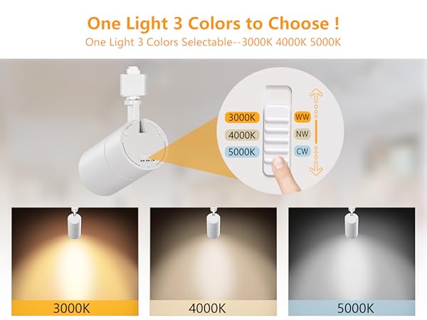 VANoopee Track Lighting Heads 20W 