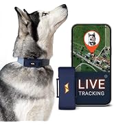 PAJ GPS Dog Tracker with 3 Months Premium Subscription Incl. Live Tracking for Dogs with Virtual ...