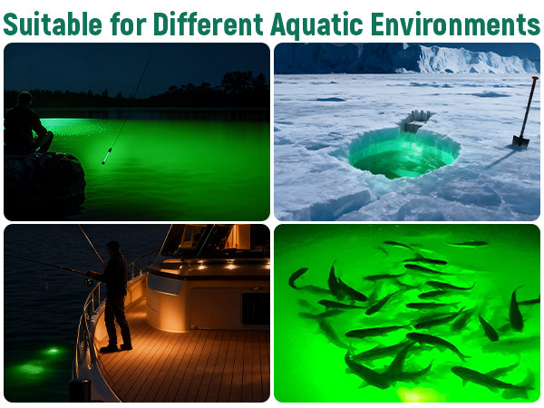 Underwater Fish Light