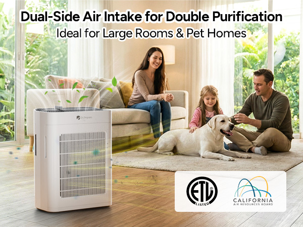 Dr.Prepare air purifiers for home