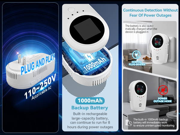 gas and carbon monoxide detector with backup battery
