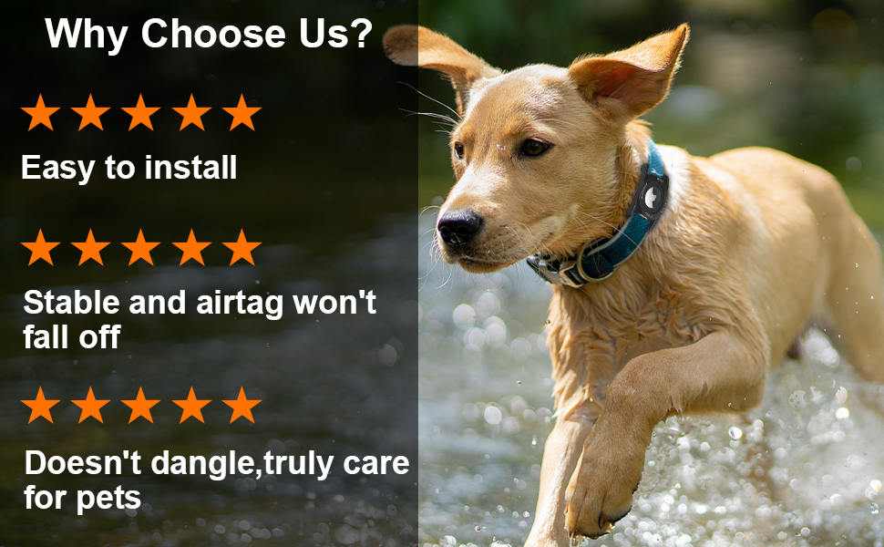 apple airtag dog collar holder waterproof