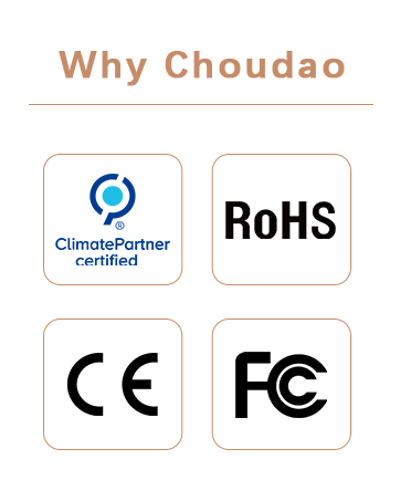 Why Choudao