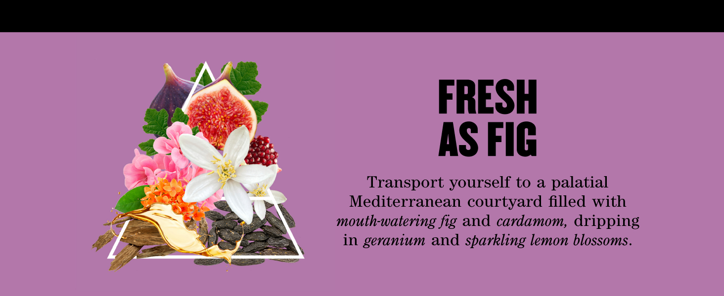 fresh as fig 