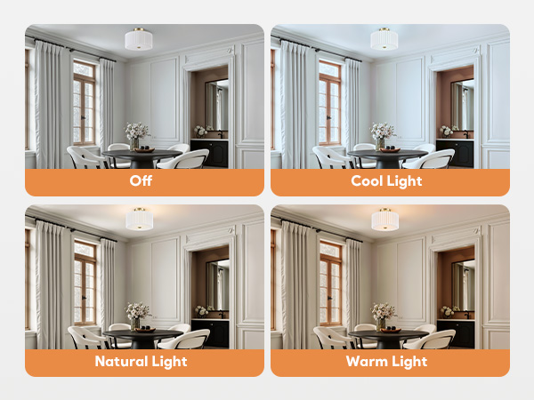 Ceiling Light Fixture