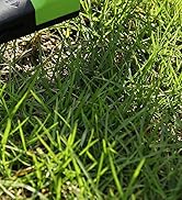 WORKPRO Grass Shears Handheld, Ultra-Sharp Grass Clippers with 360 Degree Swivel Blades, Manual G...