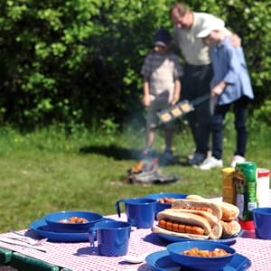 Coghlan's Picnic Accessories