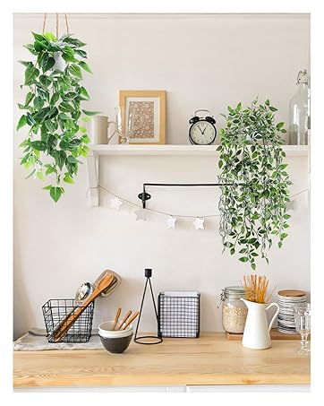 hanging plants
