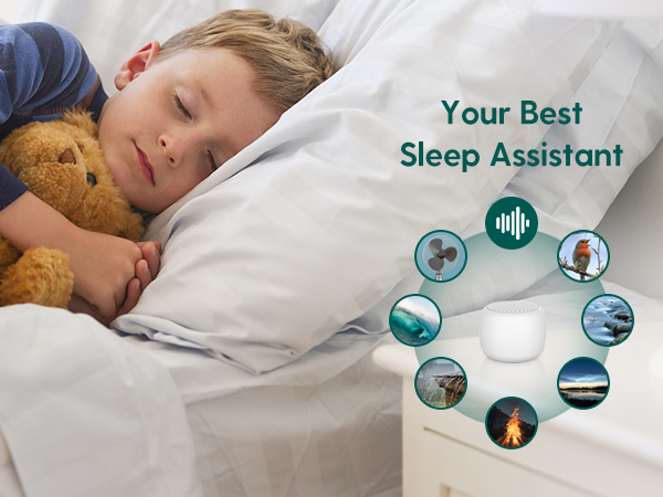 Your Best Sleep Assistant
