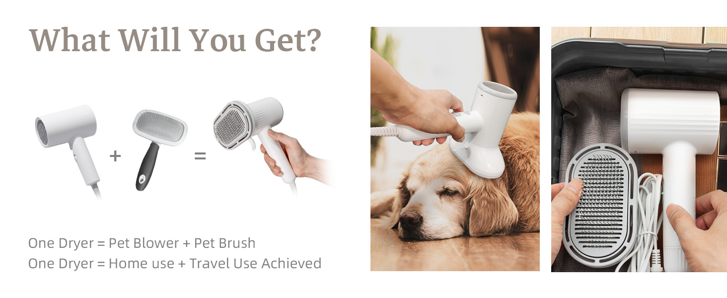 Dog Brush