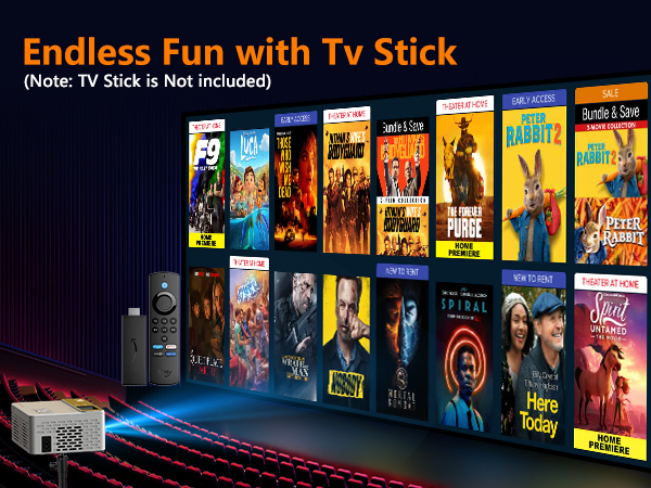 compatible with TV stick