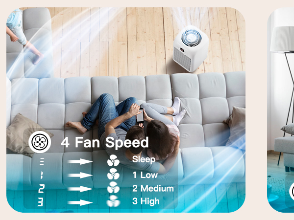  Air Purifier for Home large room