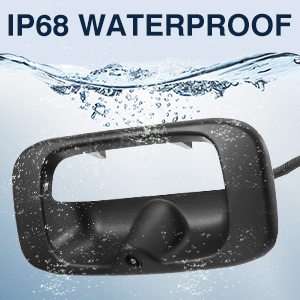 Tailgate door handle and camera